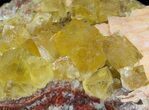 Lustrous, Yellow Cubic Fluorite and Barite on Quartz - Morocco #44902-1